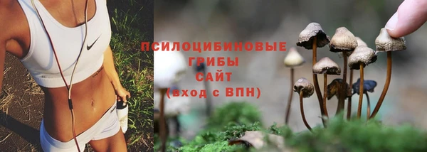 стафф Белоозёрский