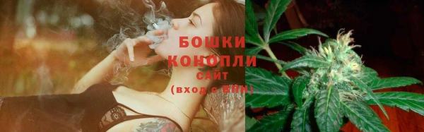 бошки Протвино